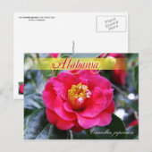 Deelstaatvlucht Alabama - Camellia Briefkaart (Voorkant / Achterkant)