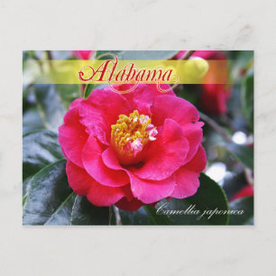 Deelstaatvlucht Alabama - Camellia Briefkaart
