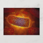 Deeltjes 2 briefkaart (Voorkant)