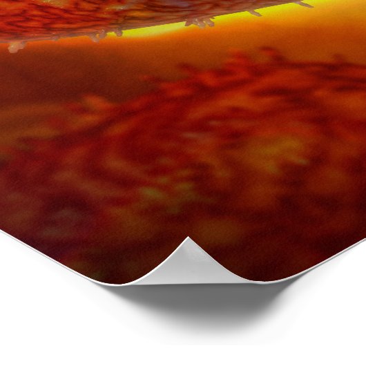 Deeltjes 2 poster (Hoek)