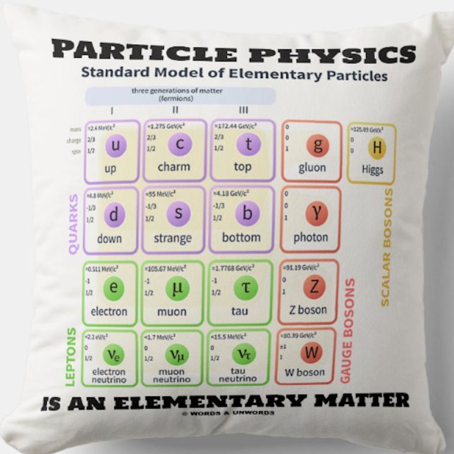 Deeltjesfysica is een elementair materiaalmodel kussen (Physics attitude throw pillow for any scientist featuring Standard Model of Elementary Particles)
