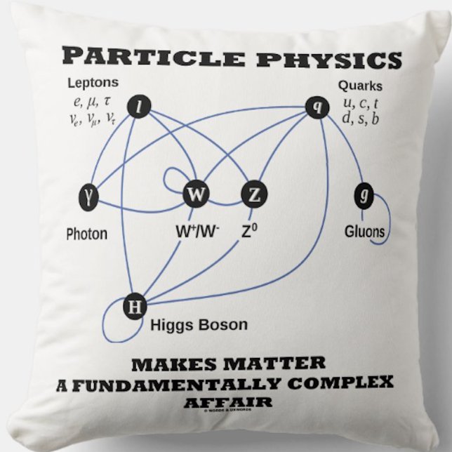 Deeltjesfysica maakt materie fundamenteel kussen (No need to be a particle physicist to enjoy this Standard Model of the Higgs Field throw pillow!)