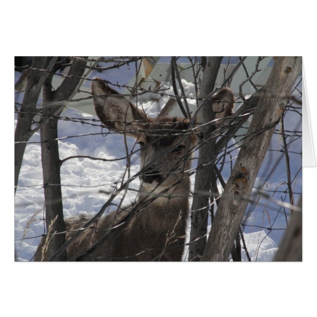 Deeltjeskaart (Voorkant Horizontaal)