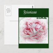 Deeltjesventiel Briefkaart (Voorkant / Achterkant)