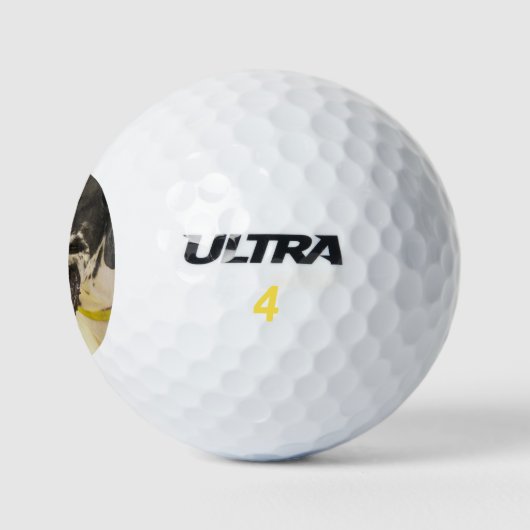 Deen Golfballen (Logo)