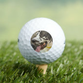Deen Golfballen (Insitu Shirt)