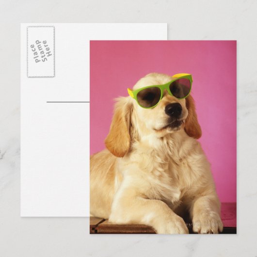 Deen met zonnebril 2 briefkaart (Voorkant / Achterkant)