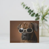 Deen met zonnebril briefkaart (Staand voorkant)