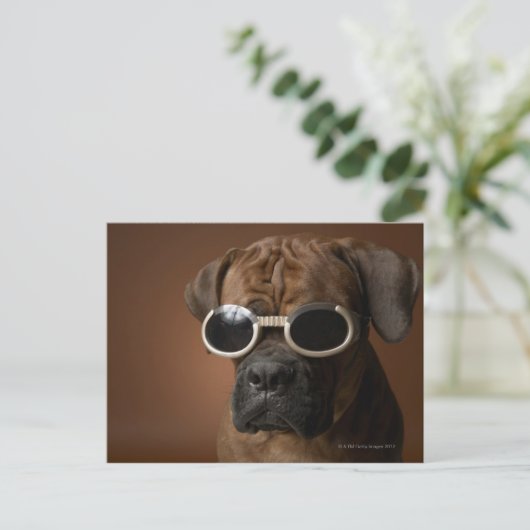 Deen met zonnebril briefkaart (Staand voorkant)