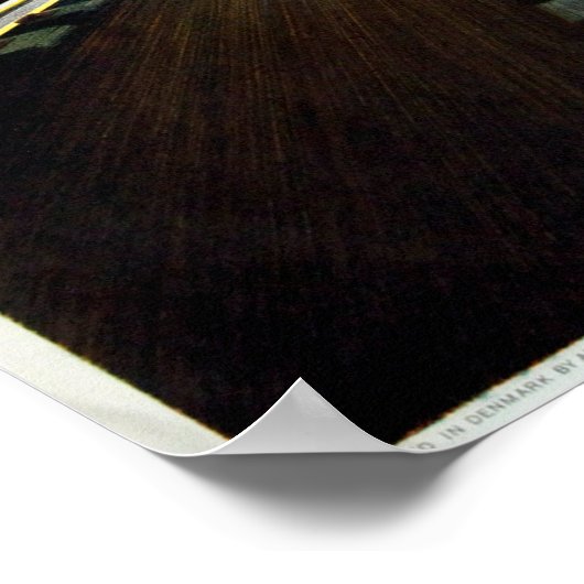  Deens treinreizen Poster (Hoek)