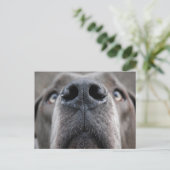 Deense dog  briefkaart (Staand voorkant)