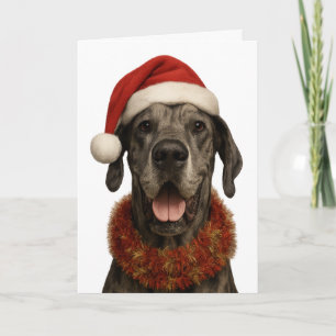 Deense dog in een kerstmuts kerstkaart kaart
