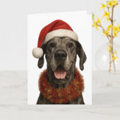Deense dog in een kerstmuts kerstkaart kaart (Gele Bloem)