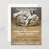 Deense Dog op Kauwende Bank Huisdier Oppas Flyer 4 (Voorkant / Achterkant)