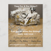 Deense Dog op Kauwende Bank Huisdier Oppas Flyer 4 (Voorkant)