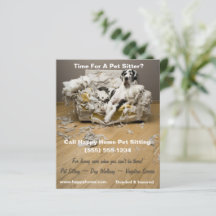 Deense Dog op Kauwende Bank Huisdier Oppas Flyer 4