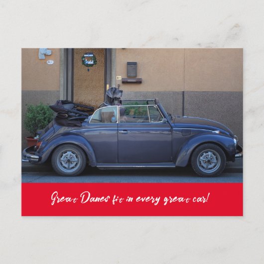 Deense dog past in een Kever Briefkaart (Voorkant)