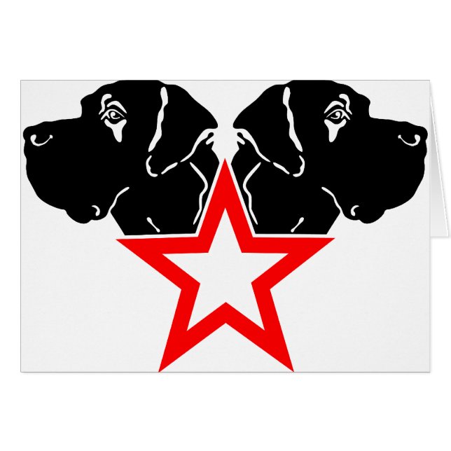 Deense Dog Ster Hoofd (Voorkant Horizontaal)
