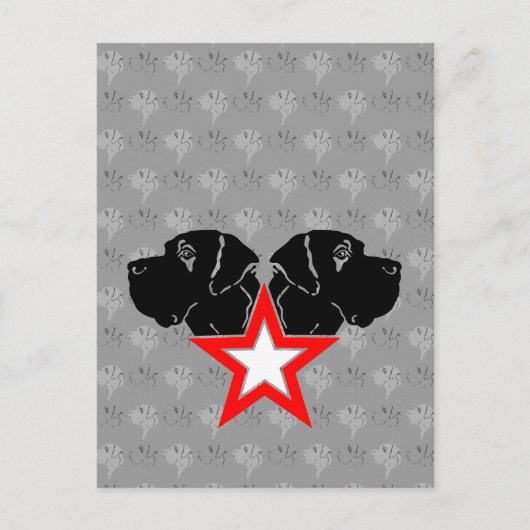 Deense Dog Ster Hoofd Briefkaart (Voorkant)