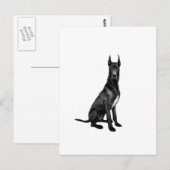 Deense Dog - Zwart (gekorte oren) Briefkaart (Voorkant / Achterkant)