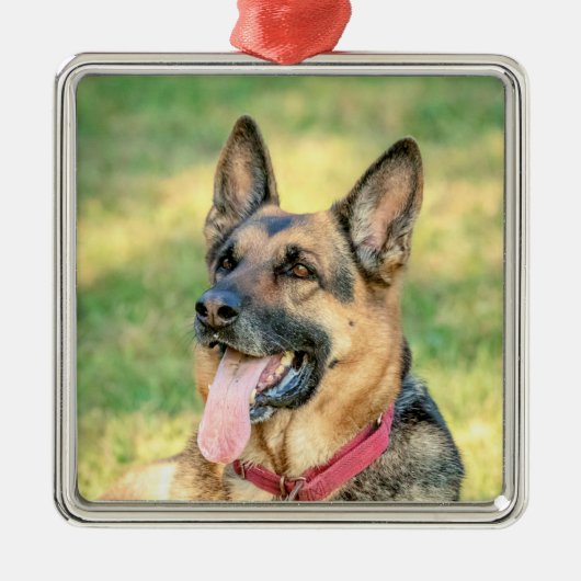 Deense herder metalen ornament (Voorkant)