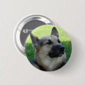 Deense herder ronde button 5,7 cm (Voorkant /achterkant)