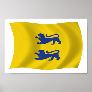 Deense Minderheid in Zuid-Sleeswijk Vlag Poster
