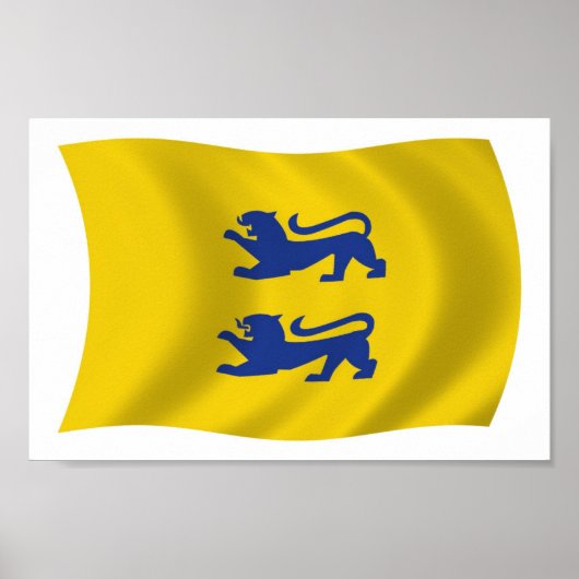 Deense Minderheid in Zuid-Sleeswijk Vlag Poster (Voorkant)