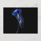 Deep Blue Briefkaart (Voorkant)