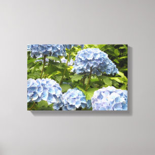 Deep Blue Hydrangeas Canvas Afdruk