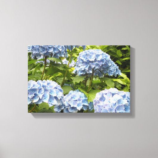 Deep Blue Hydrangeas Canvas Afdruk (Voorkant)