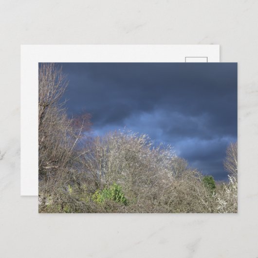 Deep Blue Skyline Briefkaart (Voorkant / Achterkant)