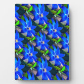 Deep Bluish Flowers Pattern Fotoplaat (voorkant)