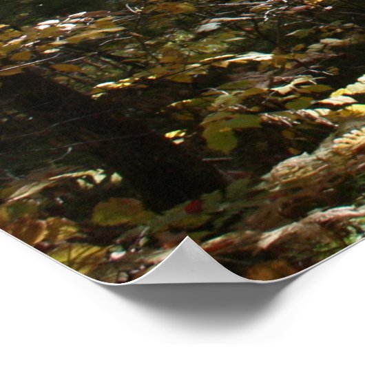 Deep Bossen Beauty Poster (Hoek)