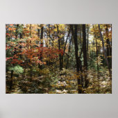 Deep Bossen Beauty Poster (Voorkant)