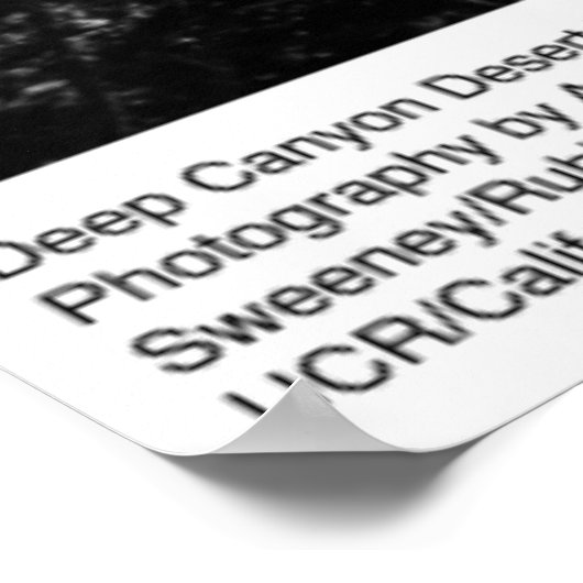 Deep Canyon Desert Research Station van Ansel Adam Poster (Hoek)