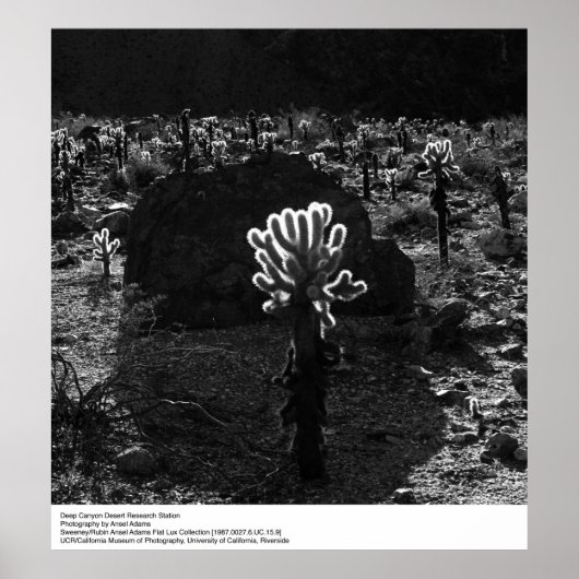 Deep Canyon Desert Research Station van Ansel Adam Poster (Voorkant)