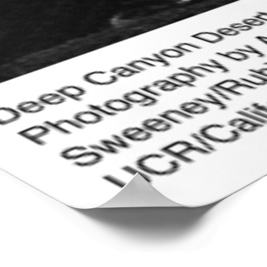 Deep Canyon Desert Research Station van Ansel Adam Poster (Hoek)