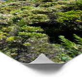 Deep Creek Cove Panorama Poster (Hoek)