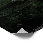 Deep forest poster (Hoek)