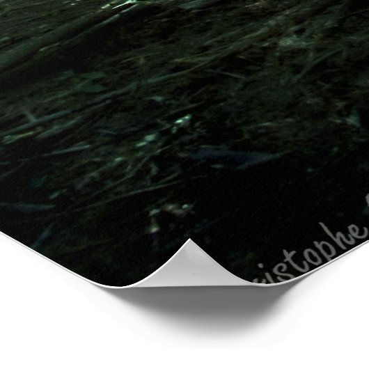 Deep forest poster (Hoek)