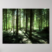 Deep forest poster (Voorkant)