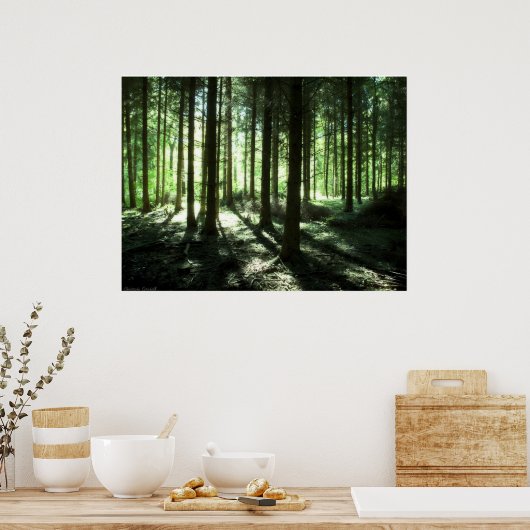 Deep forest poster (Keuken)