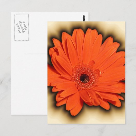 Deep Gerbera Briefkaart (Voorkant / Achterkant)