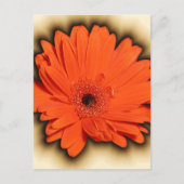 Deep Gerbera Briefkaart (Voorkant)