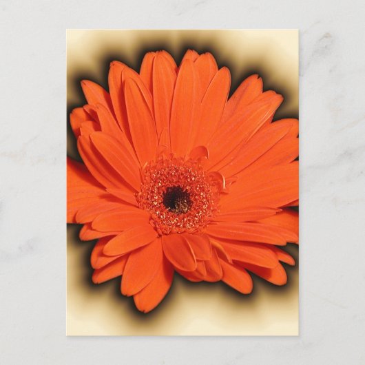 Deep Gerbera Briefkaart (Voorkant)