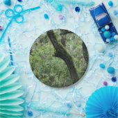 Deep Green Forest Papieren Bordje (Feest)