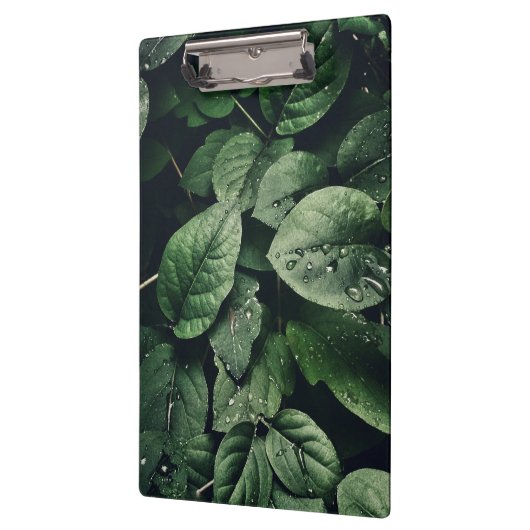 Deep Green Oerwoud Leaf Foliage Klembord (Links)