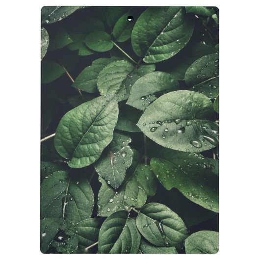 Deep Green Oerwoud Leaf Foliage Klembord (Achterkant)