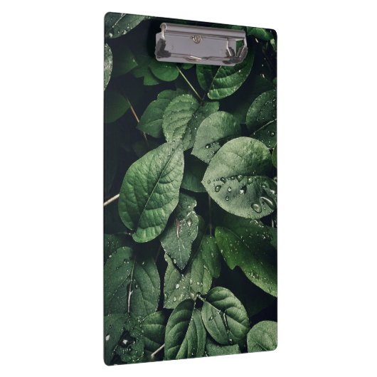 Deep Green Oerwoud Leaf Foliage Klembord (Rechts)